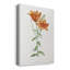 «Orange Bulbous Lily», impression sur toile tendue-319216096
