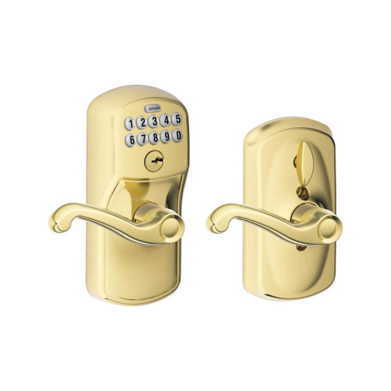 Schlage Bright Brass Steel Electronic Entry Lock, Yes