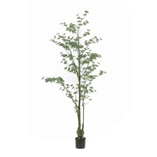 Ensemble de fausses plantes Tropaeolum Green (2) (Ensemble de 2)
