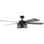 Ventilateur de plafond 52 po avec lumières DEL et télécommande Carnegie-909926752