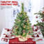 Arbre de Noël de table 2 pi avec aiguilles de pin, 30 lumières à DEL blanc chaud, minuterie, fonctionnement à piles, 52 pointes blanches brossées et pommes de pin
