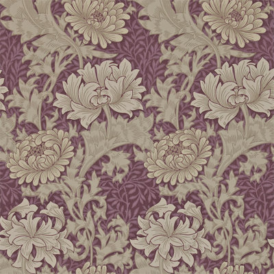 Chrysanthemum Wallpaper