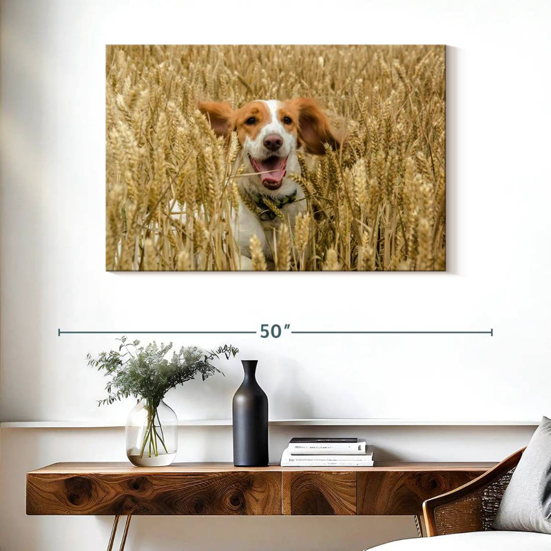 Happy Cocker Spaniel, 26" H x 39" W