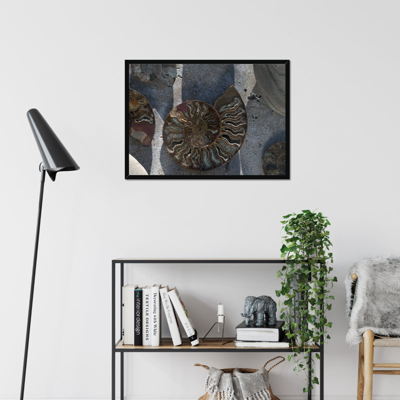 Gifts Of The Shore XVI by Elena Ray - Print, 55cm H x 80cm W, Black Framed Paper Print