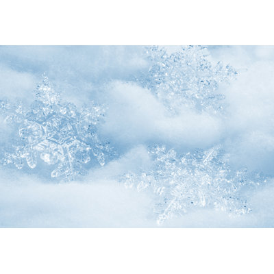 Snowflakes Background by Merrymoonmary