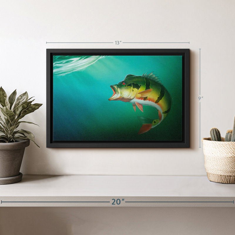 «Peacock Bass», reproduction sur toile, H 9 po x l 13 po