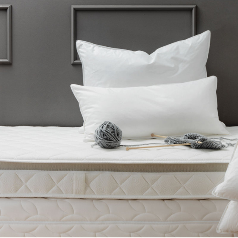 Duck Feather & Down Plush Pillow, Square