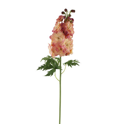 DELPHINium tige