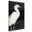 «Heron On Black II» par Lanie Loreth, reproduction sur toile-31476704-31936872-119811936