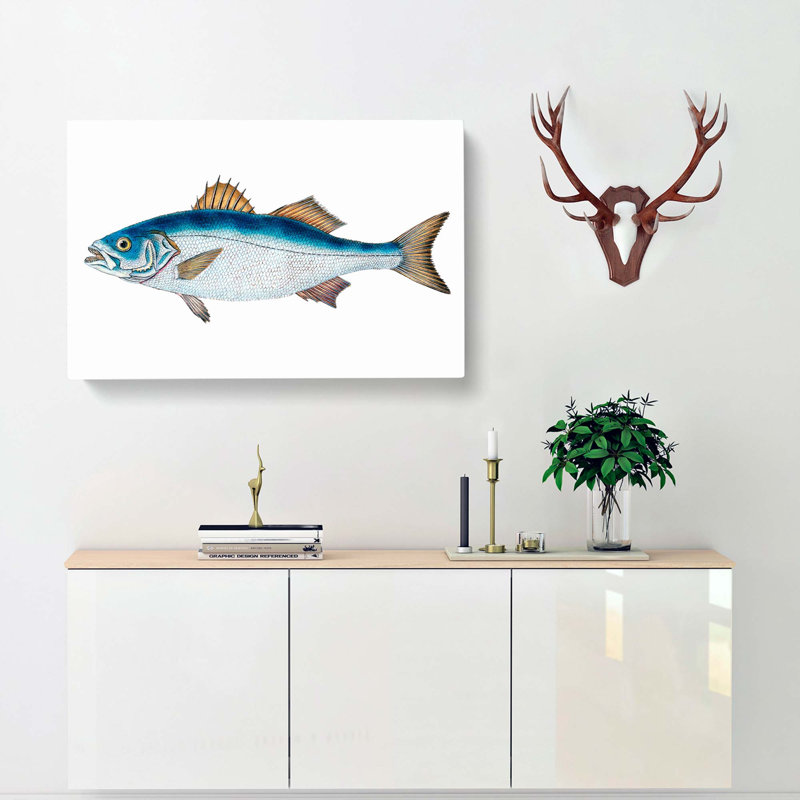 Bass Fish by Edward Donovan - Wrapped Canvas Painting Pint, 35cm H x 50cm W x 3cm D
