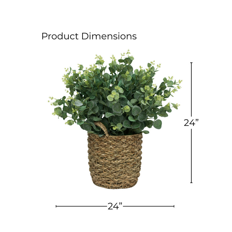 Eucalyptus de 61 cm (24 po) en panier en jonc de mer naturel, Vert