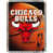 Chicago Bulls