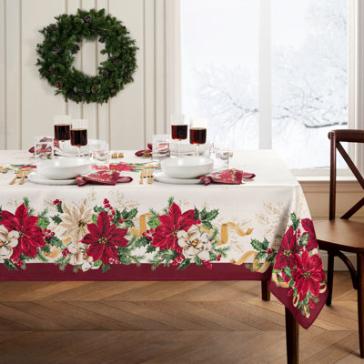  Nappe Aamira