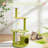Evennie 6.69'' H Cat Tree