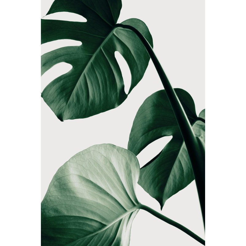 Wrapped Canvas Print, 76.2 cm H x 50.8 cm W