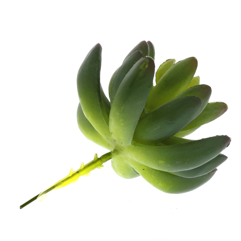 Fausse plante grasse