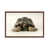 Classic Wood Framed is unavailable