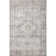 Jujhar Oriental Indoor Rug
