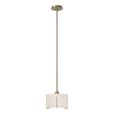 Exos 3 - Light Unique/Statement Drum Pendant