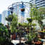 Pavillon de jardin en métal en forme d'arche de jardin en forme de cage de pergola DiaHigh