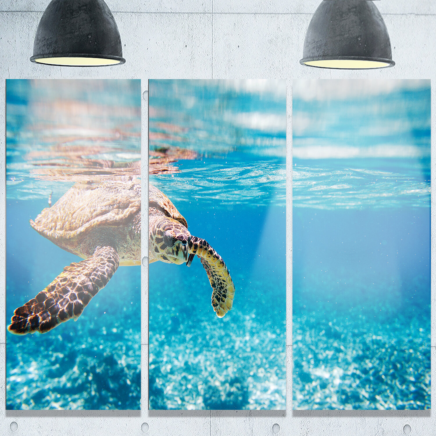 Large Hawksbill Sea Turtle Framed On Metal 3 Pieces Print