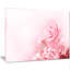 " Beautiful Rose In Magic Light "-905061864
