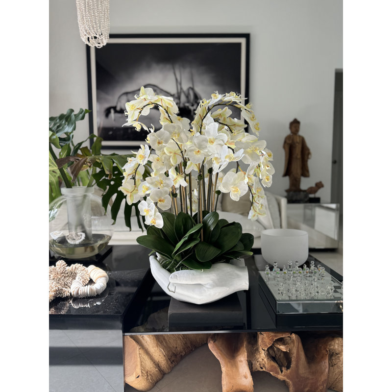 Orchid Floral Arrangement in Vase, White