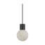 Sean Lavin Mina 1-light Small Pendant in Black with Black Cord and Alabaster shade