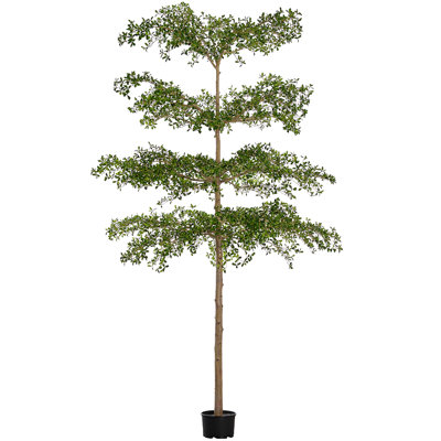 Coccinelle 13 'en pot plastique (emballage démontable) 13' vert