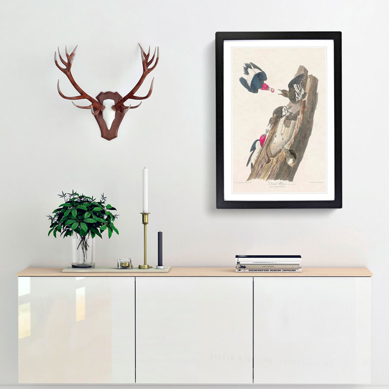 Red-Headed Woodpeckers by John James Audubon - Picture Frame Painting Print, 48cm H x 36cm W x 2cm D, Black Framed
