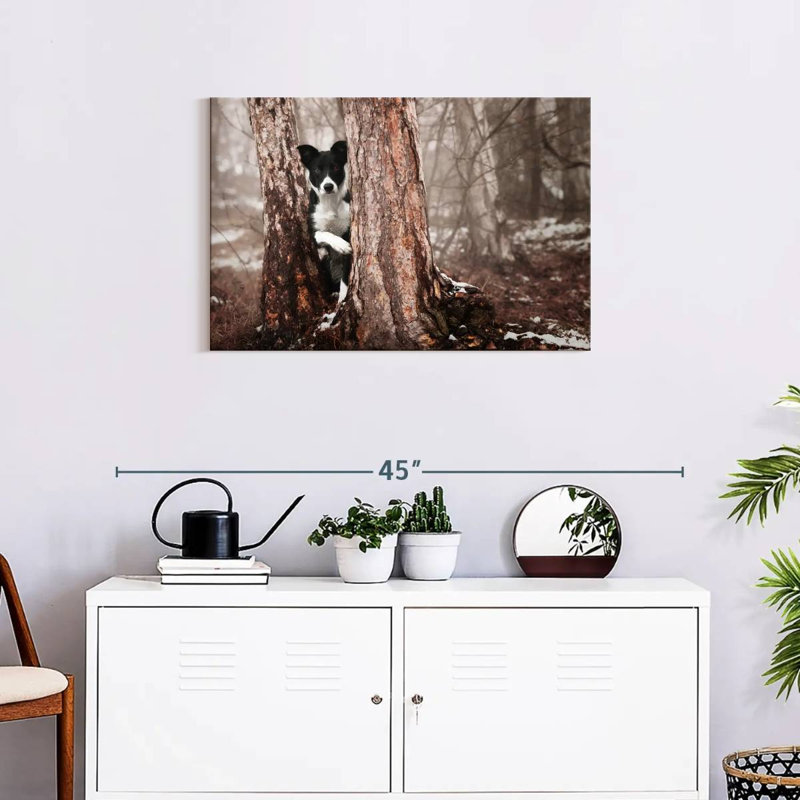 Brampt Playful Border Collie, 20'' H x 30'' W