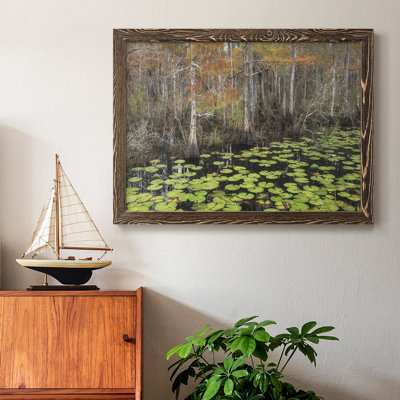 " Bayou Autumn "