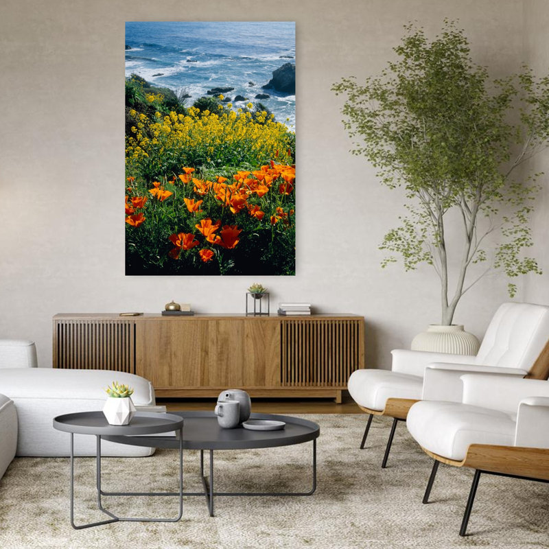 Coquelicots le long de la côte, Ca, États-Unis, H 48 po x l 32 po