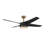 VELA 52'' Ceiling Fan with LED Lights-91894599