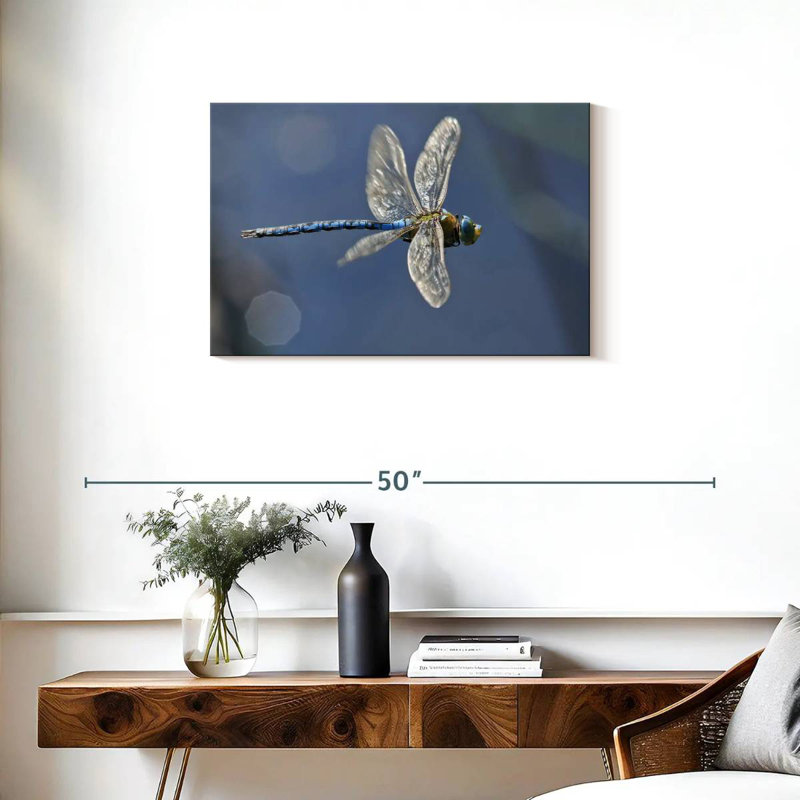 Brampt Flying Emperor Dragonfly, 20" H x 30" W