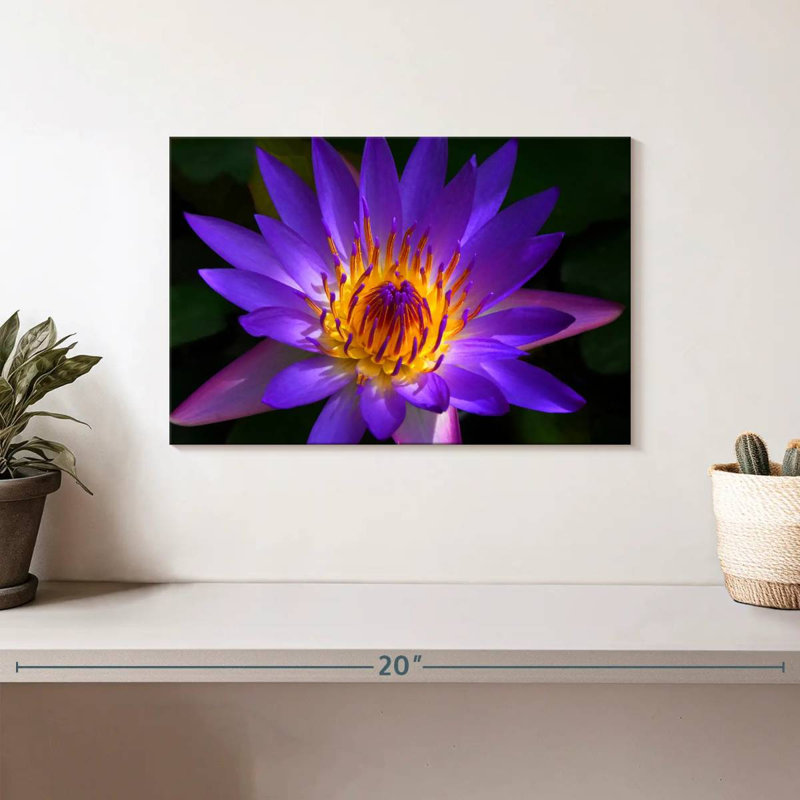 Harnek Hawaiian Water Lily, H 8 po x l 12 po