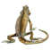 Abbiegale Iguana Decorative Object