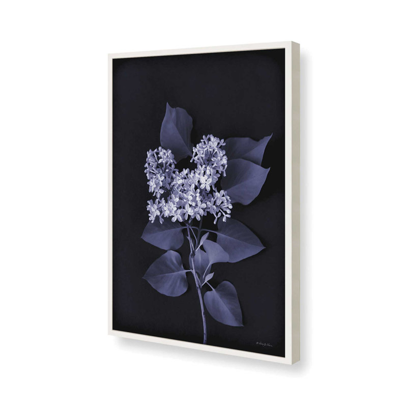 «Blooming in Indigo II» par Robin-Lee Vieira, reproduction d'art, 20 W x 30 H, Framed Print, Blanc