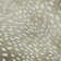 Premium Machine Washable Merilou AMF44 Fawn Rug