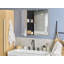 Rodricas Wall Mounted Framed Mirrored Bathroom Cabinets Shelves-1551385143