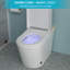 Toilette de bidet moderne et intelligente avec fonction - siège chauffant allongé, lavage à l'eau chaude, sécheuse, affichage à DEL, fonction avancée de nuit, chasse d'eau automatique