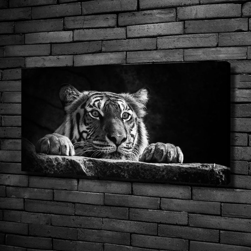 Tiger - No Frame Print on Canvas