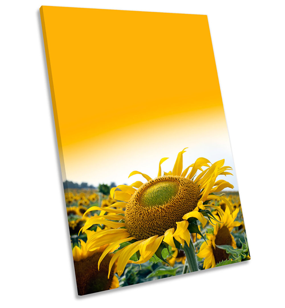 Sunflower Sunset Flower - Wrapped Canvas Photograph