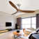 Outdoor Ceiling Fan Without Light 3 Abs Blade With Smart App Control