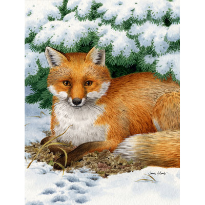 Drapeau de jardin à 2 côtés fox