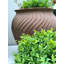 Mairead Handmade Pot Planter-14486273
