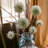 Ball Arrangement-775441414-775441413