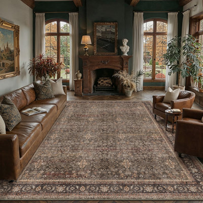 Rhys Vintage Distressed Area Rug in Red/Brown