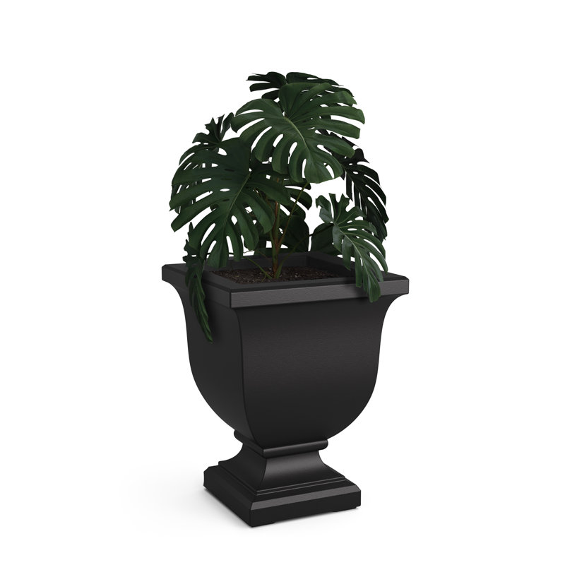 Danetra Pot Planter, Black