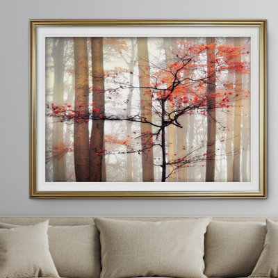 " Orange Awakening "